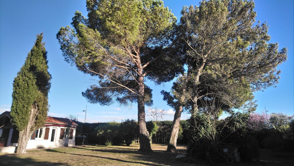 gîte Petit Mas aux Coquilloux à Montpellier