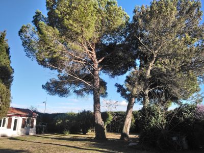 gîte Petit Mas aux Coquilloux à Montpellier