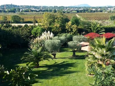 vue du Gîte Pic St Loup  sur la piscine des Coquilloux location de vacances à Montpellier