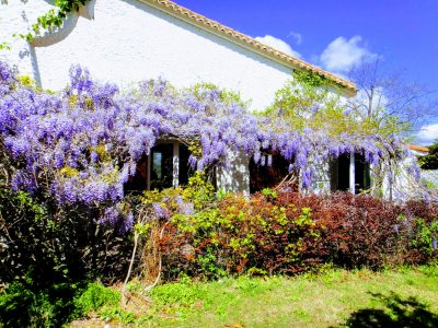 e gîte Glycine aux Coquilloux à Montpellier idéal 6 personnes