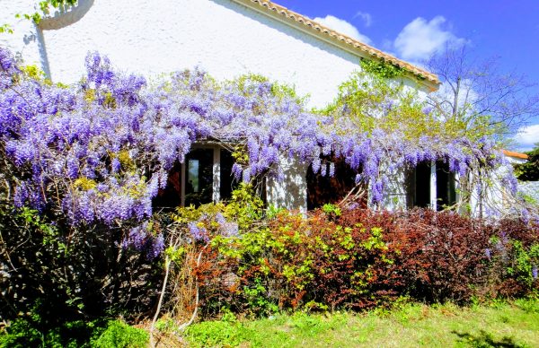e gîte Glycine aux Coquilloux à Montpellier idéal 6 personnes