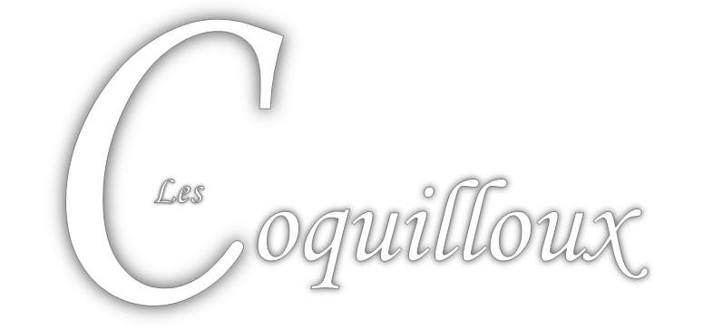 Les Coquilloux Location de vacances à Montpellier